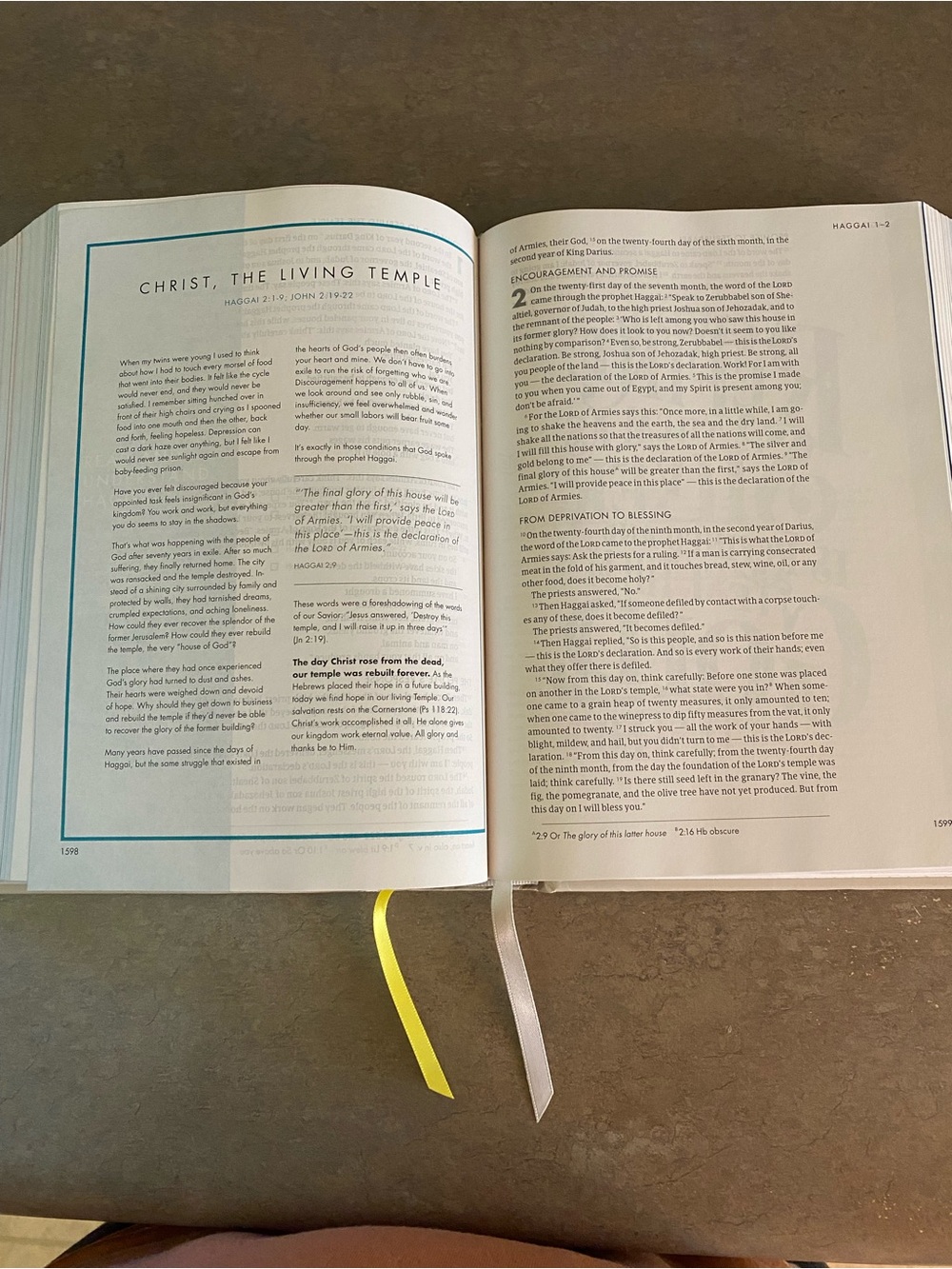 She Reads Truth Bible - Picture 3 of 5